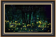 2018 Bioluminescent Life Fireflies Framed Art
