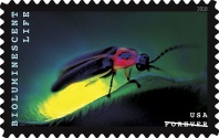 2018 Bioluminescent Life USA Postage Stamp