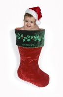 Hayden in a Christmas Stocking