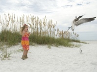 Hayden and the Scary Seagull