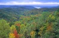 Autumn Landscape North Carolina