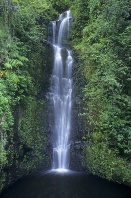 Waterfall Along the Hana Highway, Maui, Hawaii
