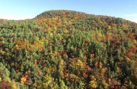 Fall Folliage, Near Highlands, North Carolina