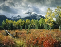 Fall Scene Banff National Park, Canada