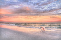 Florida Sunset and Pink Conch Shell