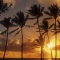 Palm Trees and Sunrise, Hawaii