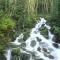 Waterfall and Moss Covered Rocks, Washington