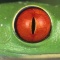 Red Eyed Tree Frog, Detail of Eye, Costa Rica
