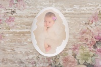 Baby Sleeping in an Eggshell