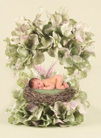 Baby Hydrangia Fairy