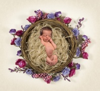Leah, Sleeping in a Floral Nest