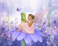 Ashlyn, Fairy Reading on a Daisy