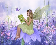 Hayden, Fairy Reading on a Daisy