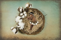 Asleep in a Nest of Cotton