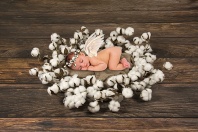 Baby Angel Asleep in a Cotton Wreath