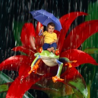 Stephen, Keeping Dry in the Rainforest