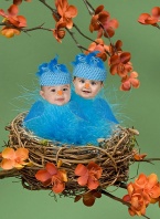 Ashlyn and Hayden, Baby Bluebirds in a Nest