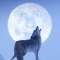 Erick, The Brave Coyote and the Man in the Moon