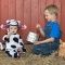 Levi Jr. and Rylee, The Dairy Farmer and the Baby Cow