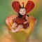 Ashlyn, Little Miss Lady Bug