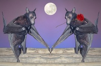 Bat Dance-By The Light of The Silvery Moon