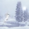 Unicorn in the Snow