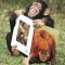 Chimpanzee Having a Good Laugh After Looking at His Primate Book