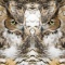 Nature Design-18 Owl