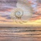 Nautilus Shell at Sunset