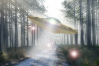 UFO Zooming Through a Forest